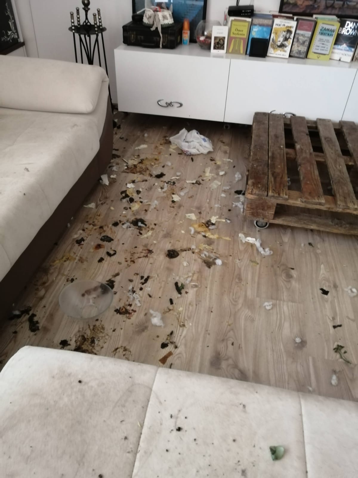 Temizlik Öncesi
